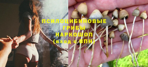 кокс Алзамай