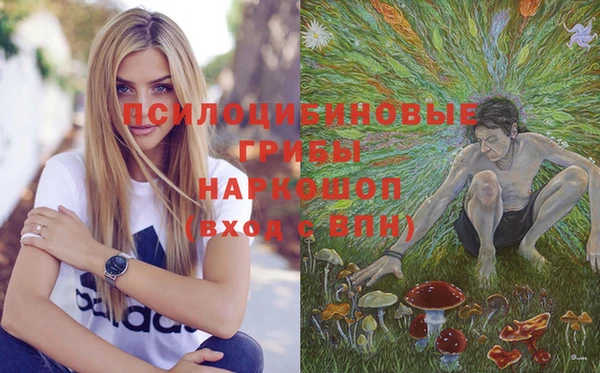 соль ск Алексин